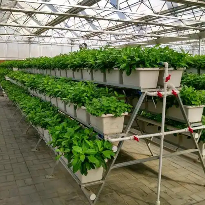 阳泉市植物工厂水肥机 - 推荐