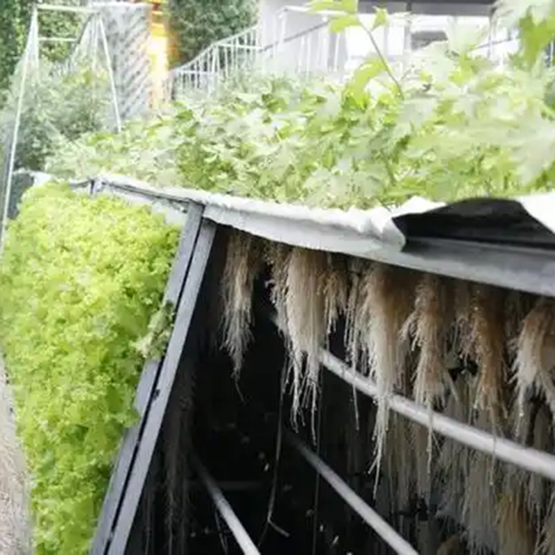 阳泉市气雾培植物工厂 - 方案